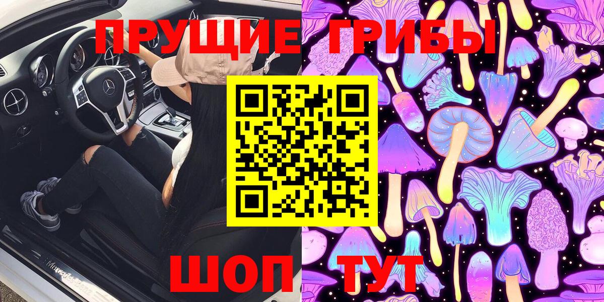 Великие Луки  Псилоцибиновые грибы Psilocybe  Вход с VPN 